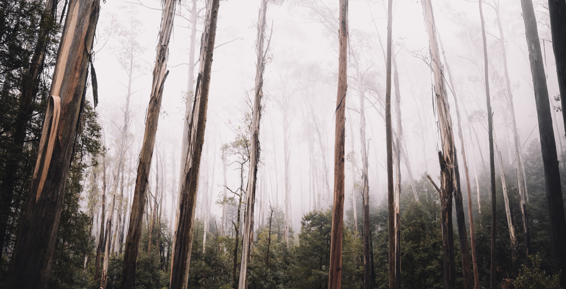 Journal-post5