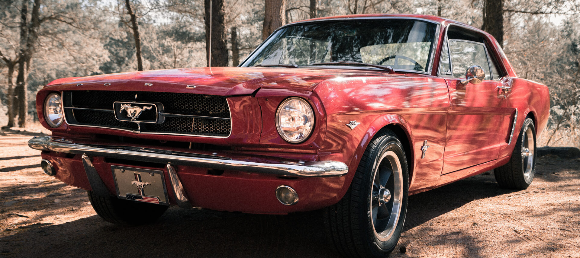 1965-Shelby-Mustang-GT350-Project-Continues.jpg