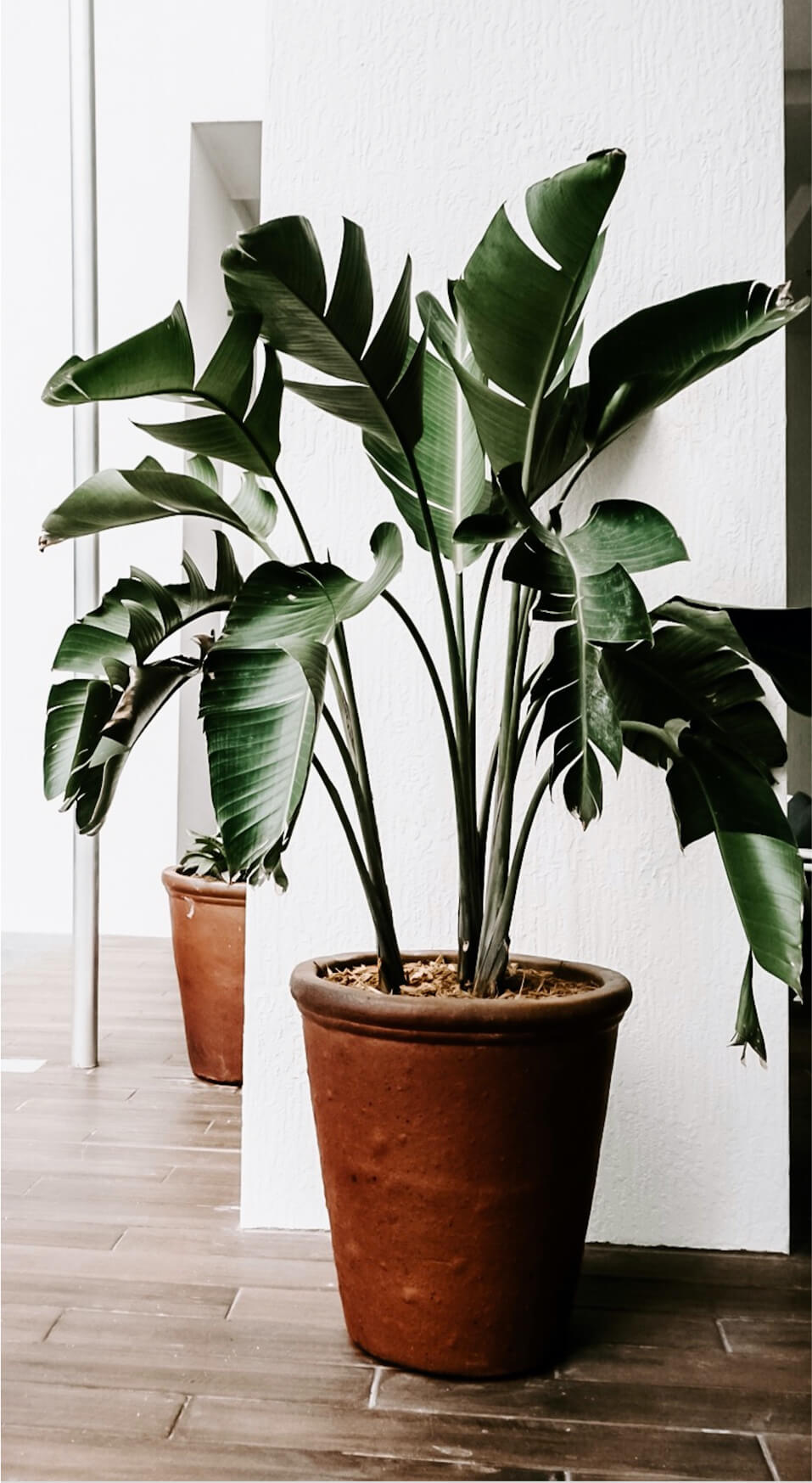 indoor-portfolio3.jpg
