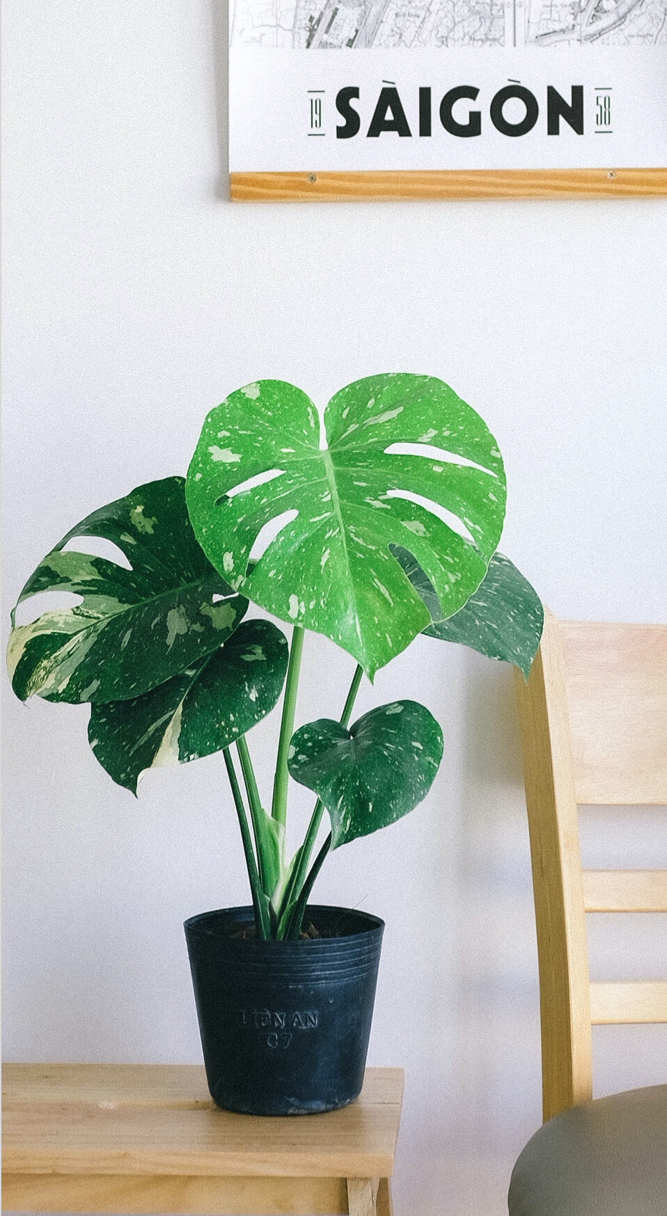 indoor-portfolio6.jpg