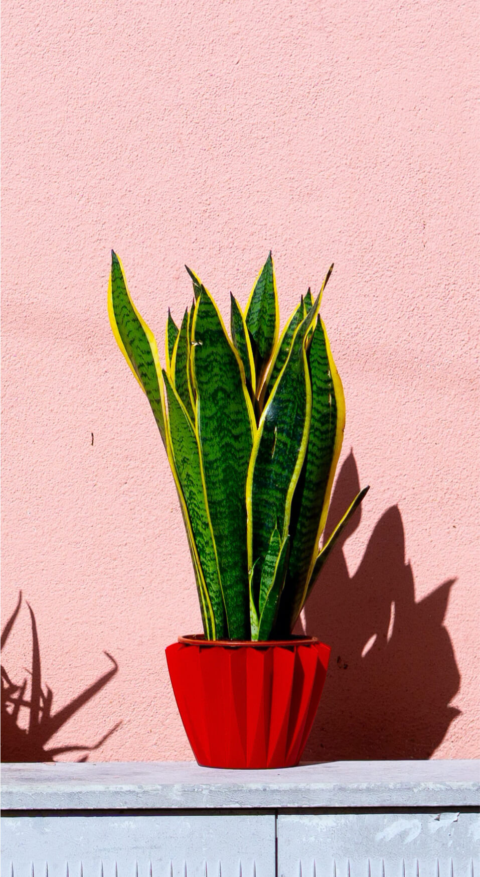 outdoor-portfolio2.jpg