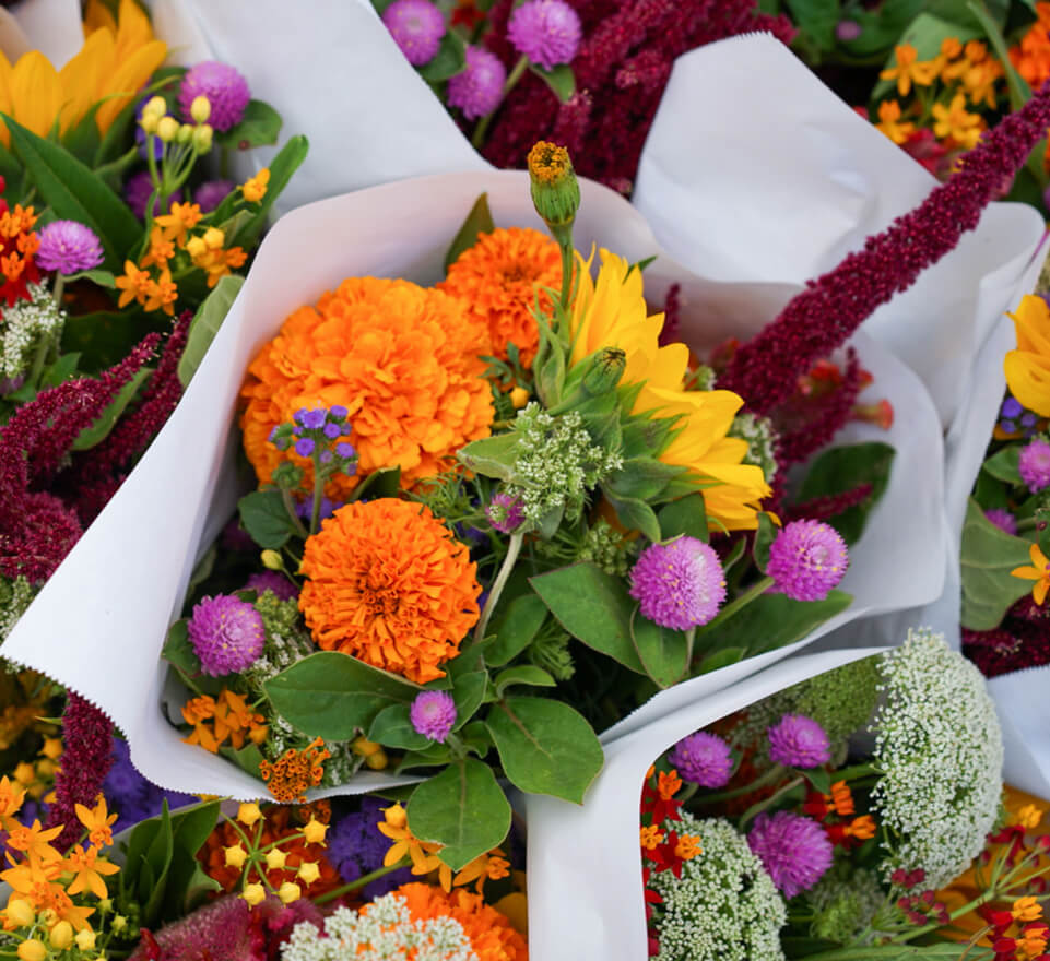 posts-featured-image1.jpg